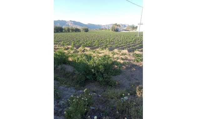 Venta - Country House -
Orihuela - Correntías Bajas