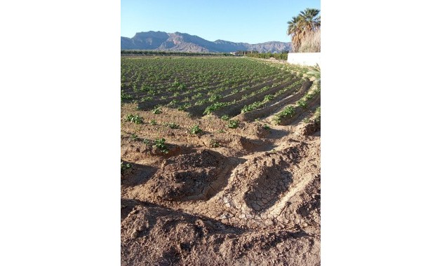 Venta - Country House -
Orihuela - Correntías Bajas