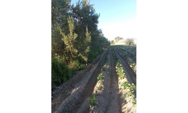 Venta - Country House -
Orihuela - Correntías Bajas