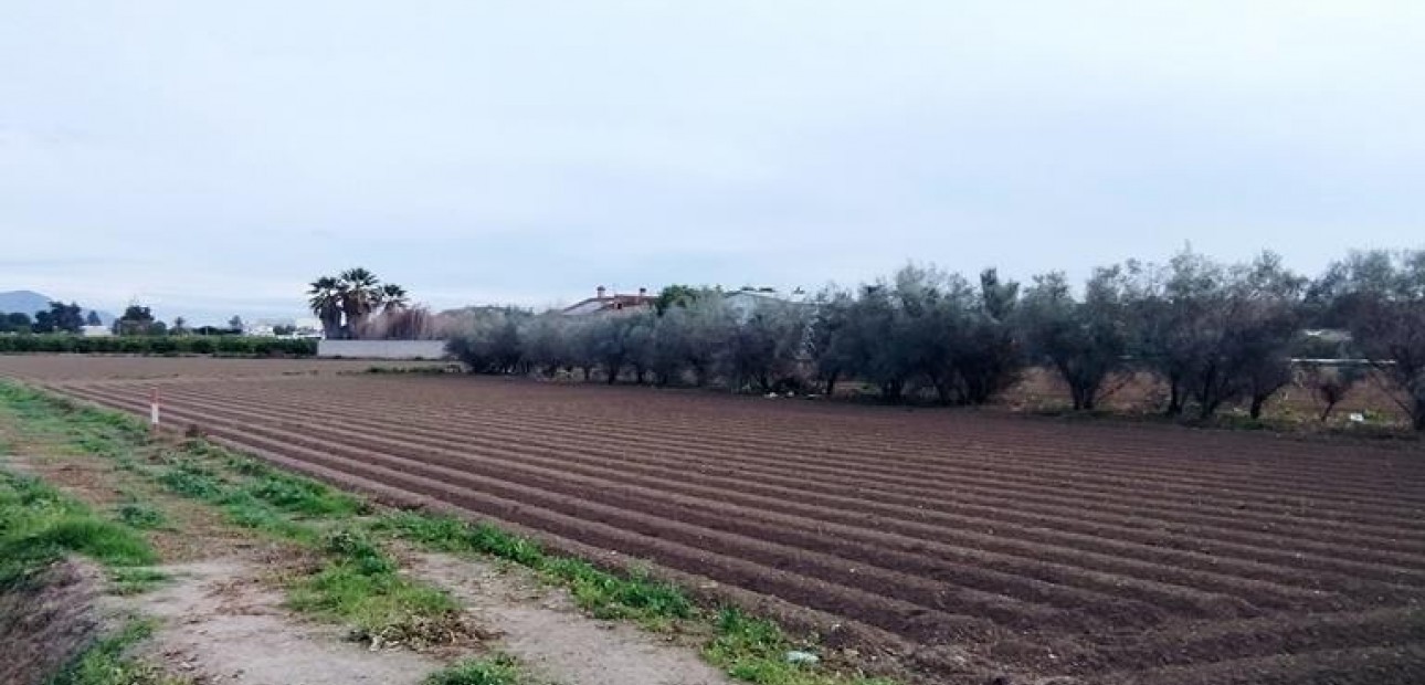 Venta - Country House -
Orihuela - Correntías Bajas