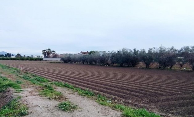 Venta - Country House -
Orihuela - Correntías Bajas
