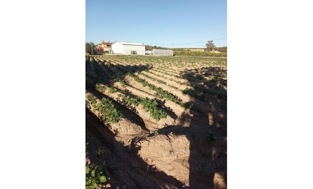 Venta - Country House -
Orihuela - Correntías Bajas