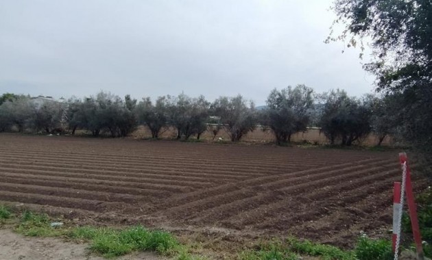 Venta - Country House -
Orihuela - Correntías Bajas