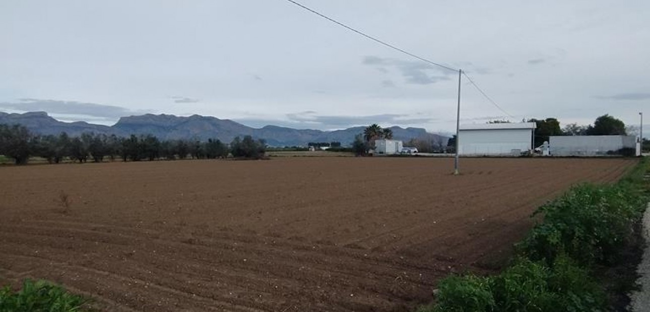 Venta - Country House -
Orihuela - Correntías Bajas