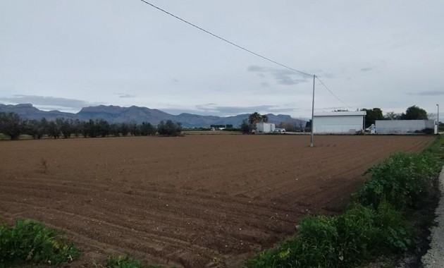 Venta - Country House -
Orihuela - Correntías Bajas