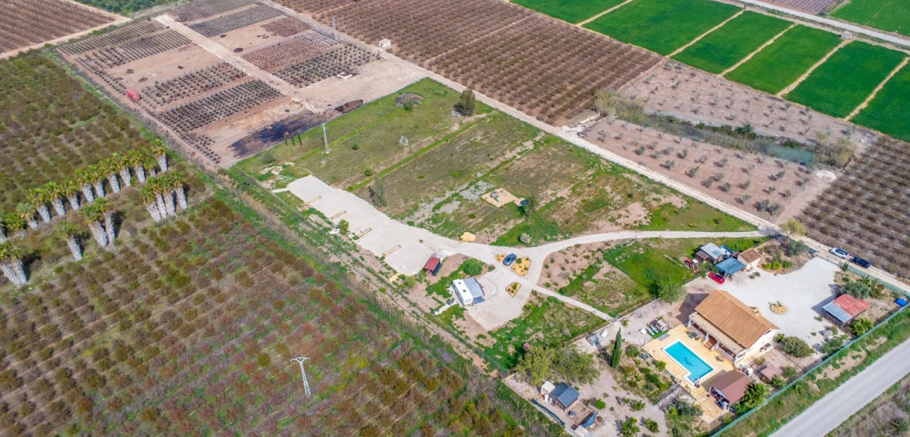 Sale - Finca -
Albatera