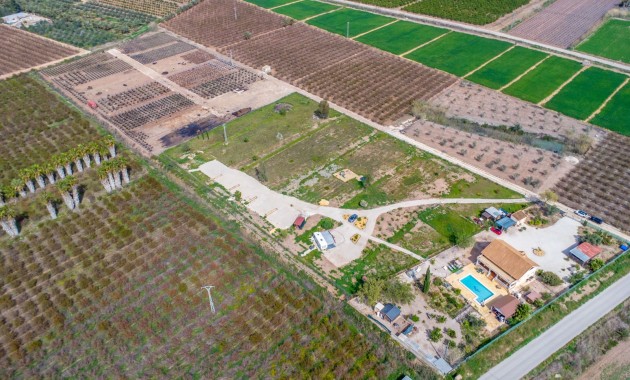 Sale - Finca -
Albatera