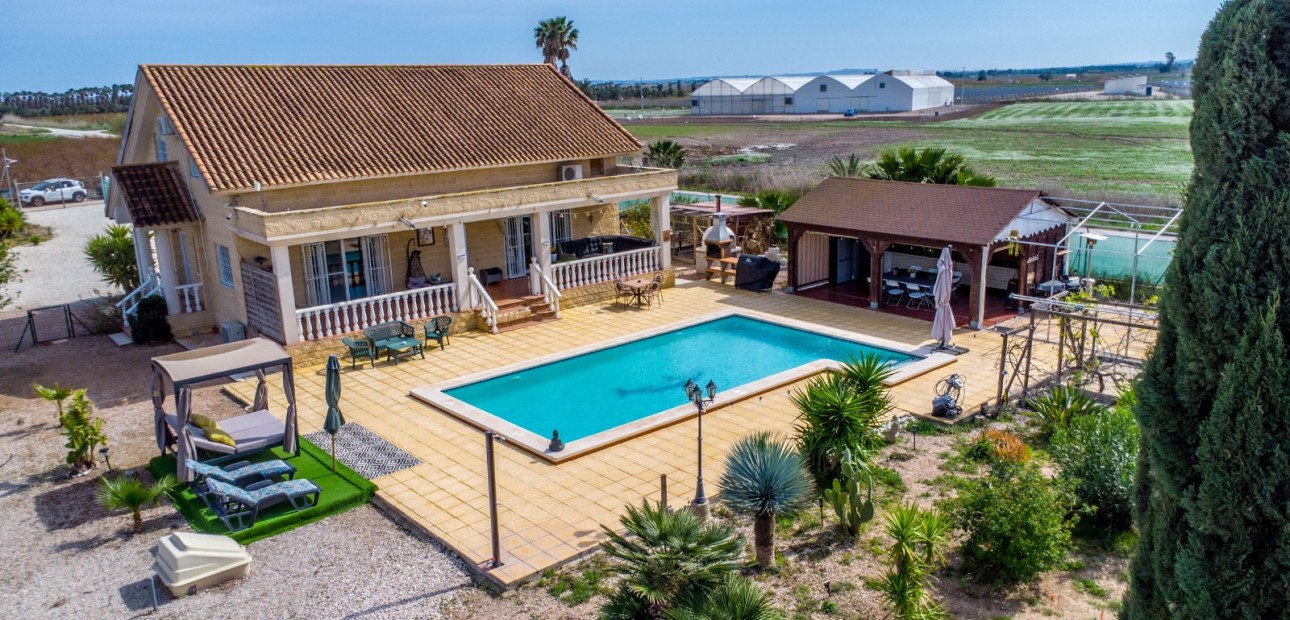 Sale - Finca -
Albatera