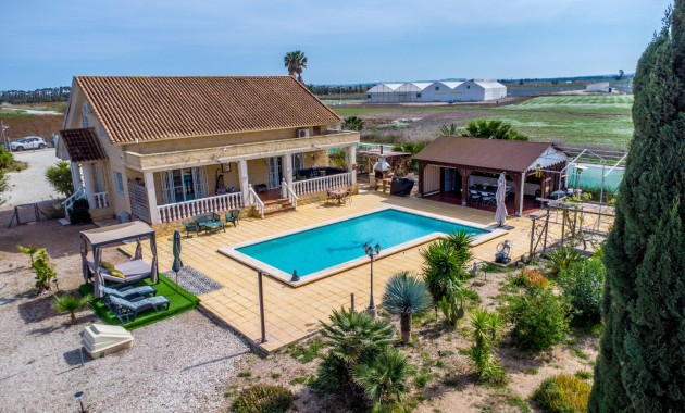 Sale - Finca -
Albatera