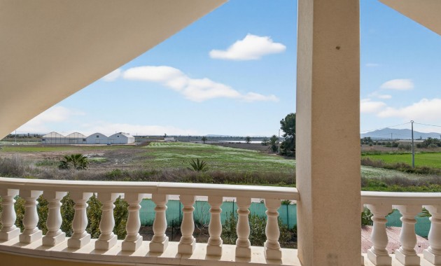 Sale - Finca -
Albatera