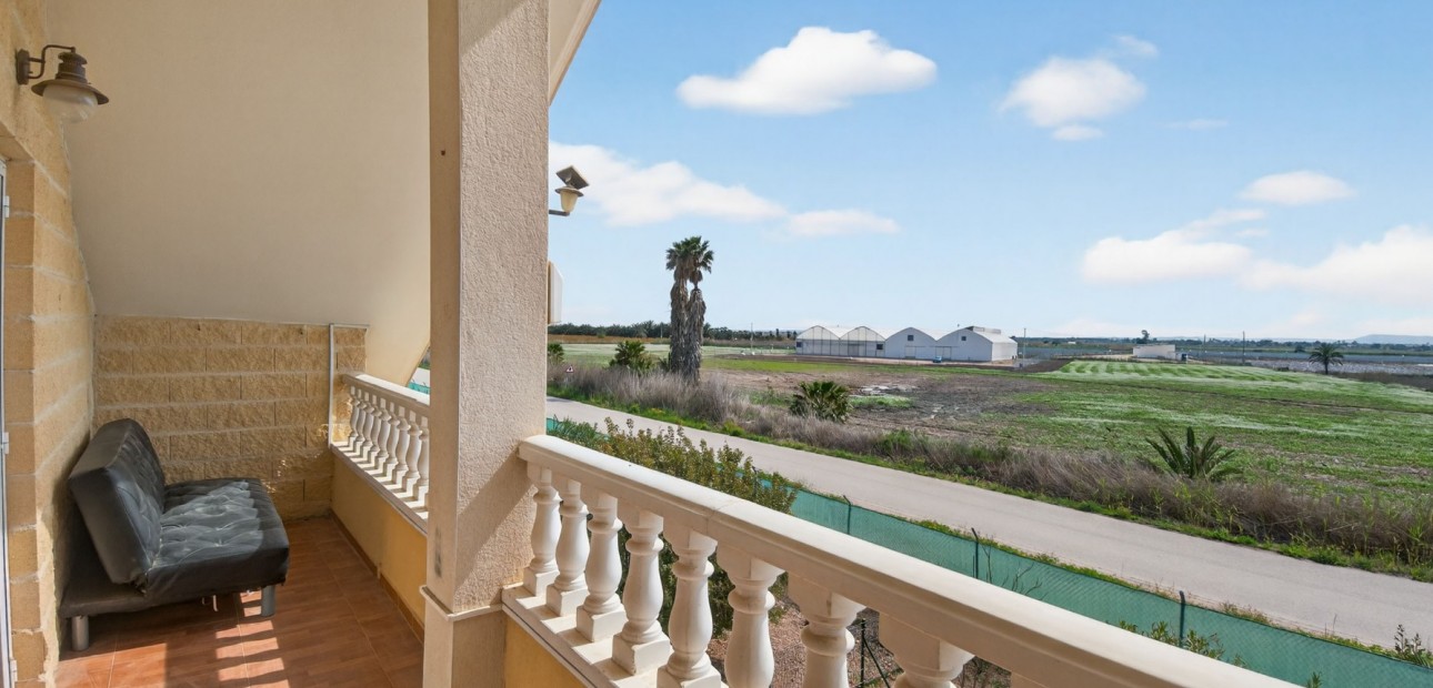 Sale - Finca -
Albatera