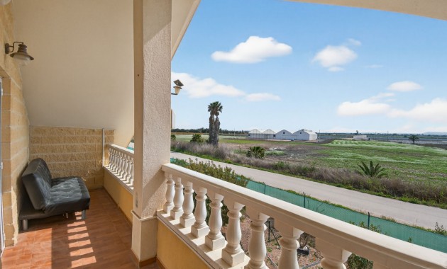 Sale - Finca -
Albatera