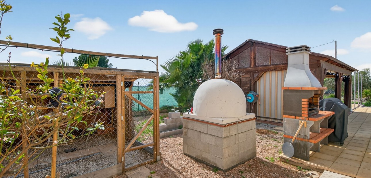 Sale - Finca -
Albatera