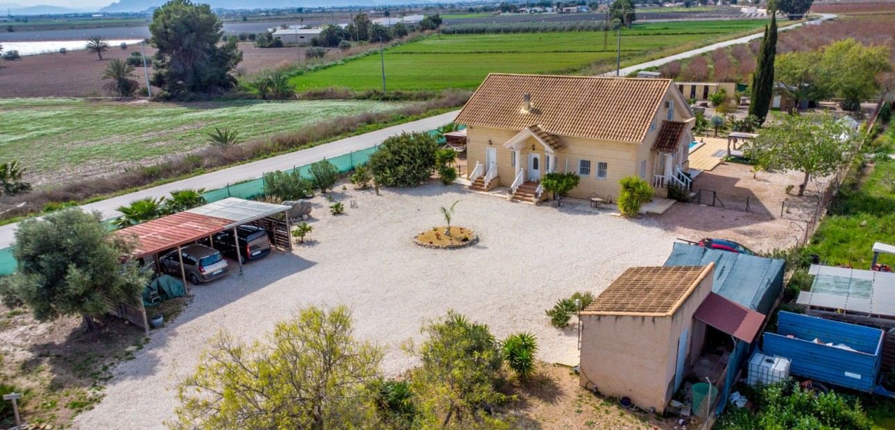 Sale - Finca -
Albatera