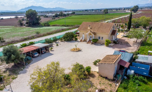 Sale - Finca -
Albatera