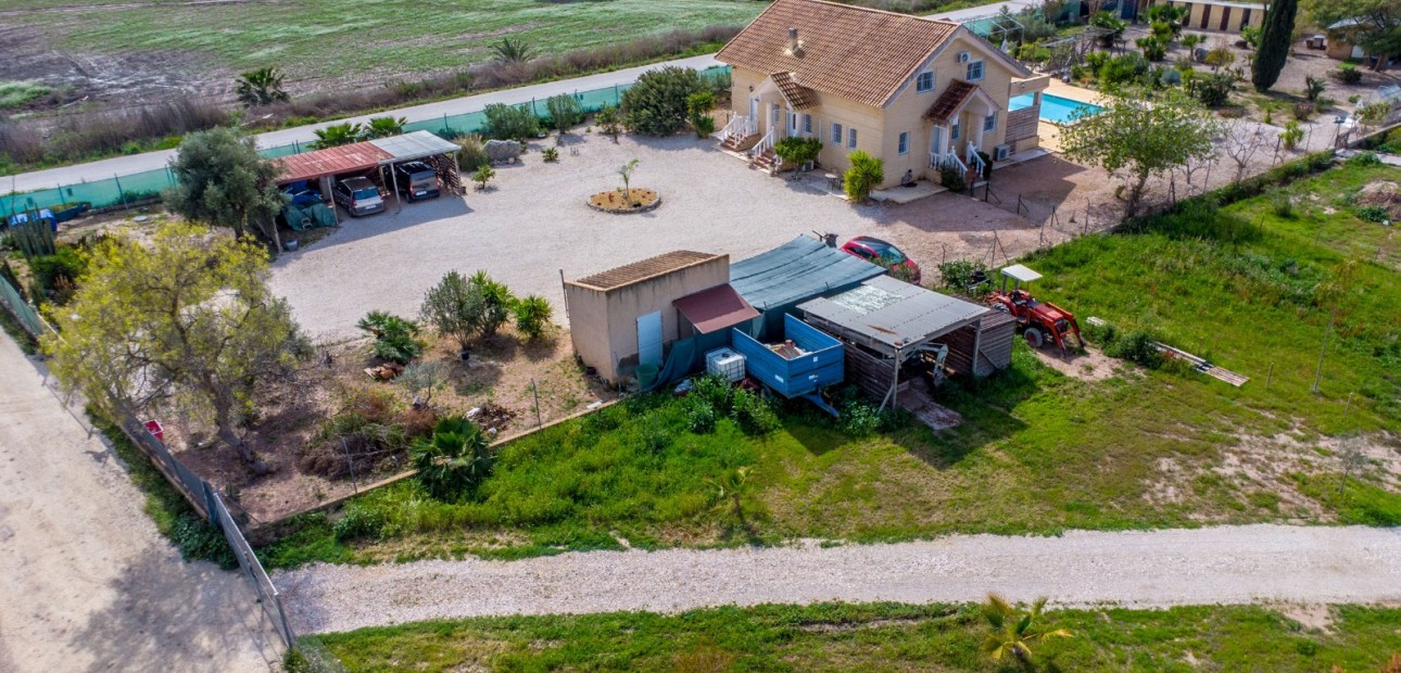 Sale - Finca -
Albatera