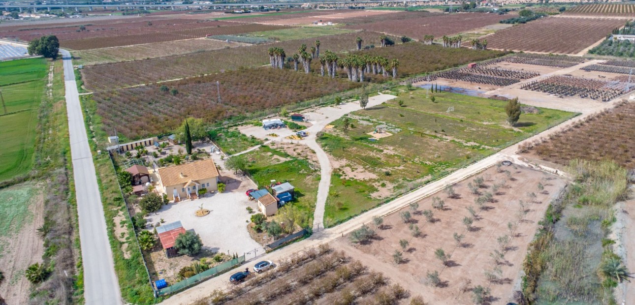 Sale - Finca -
Albatera