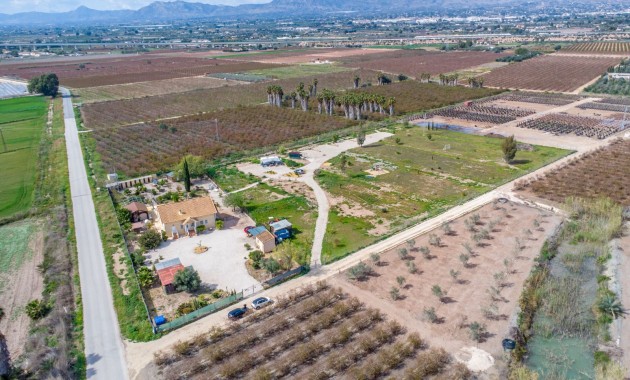 Sale - Finca -
Albatera