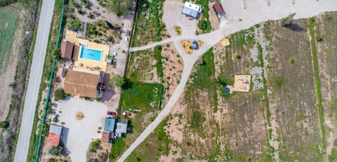 Sale - Finca -
Albatera