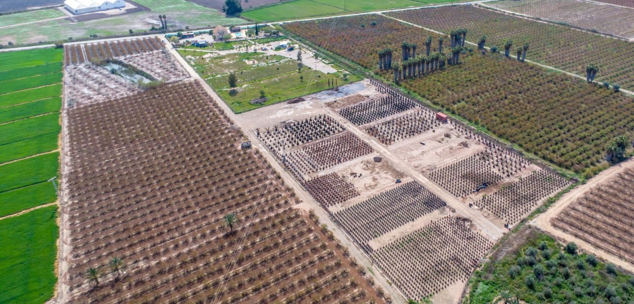 Sale - Finca -
Albatera