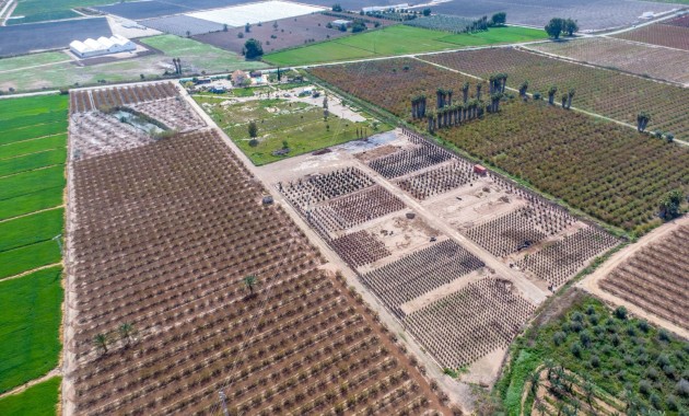 Sale - Finca -
Albatera