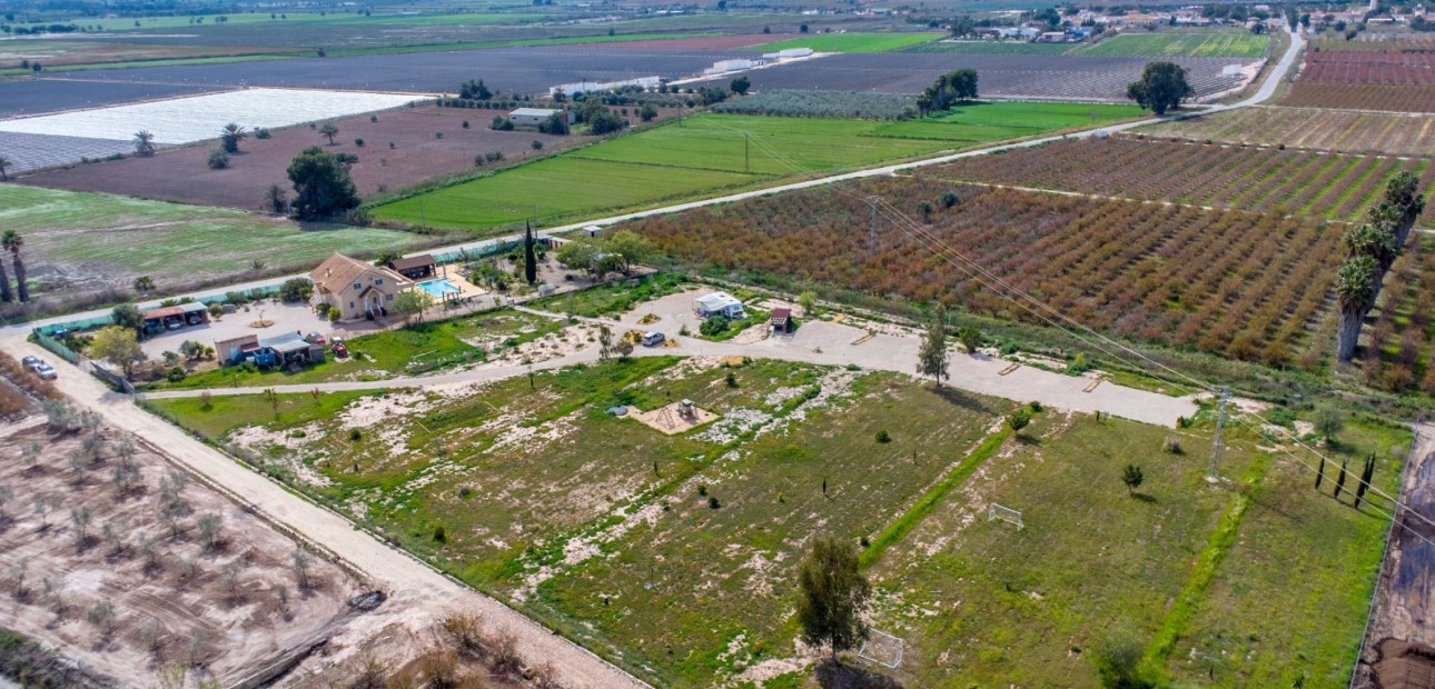 Sale - Finca -
Albatera