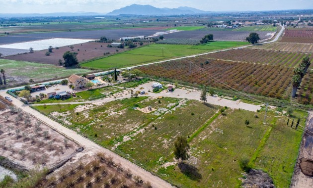 Sale - Finca -
Albatera