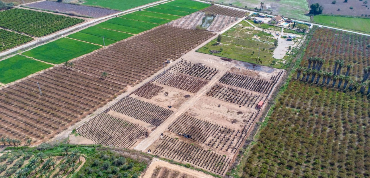 Sale - Finca -
Albatera