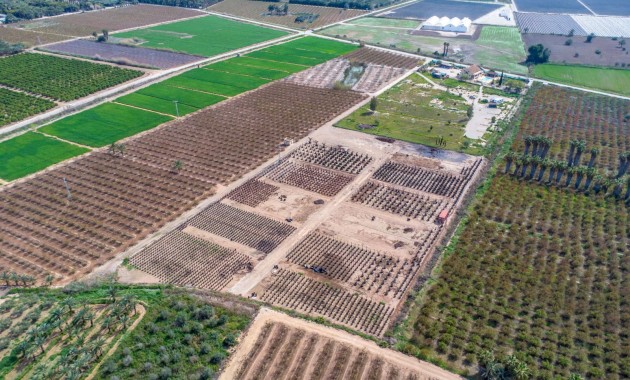 Sale - Finca -
Albatera