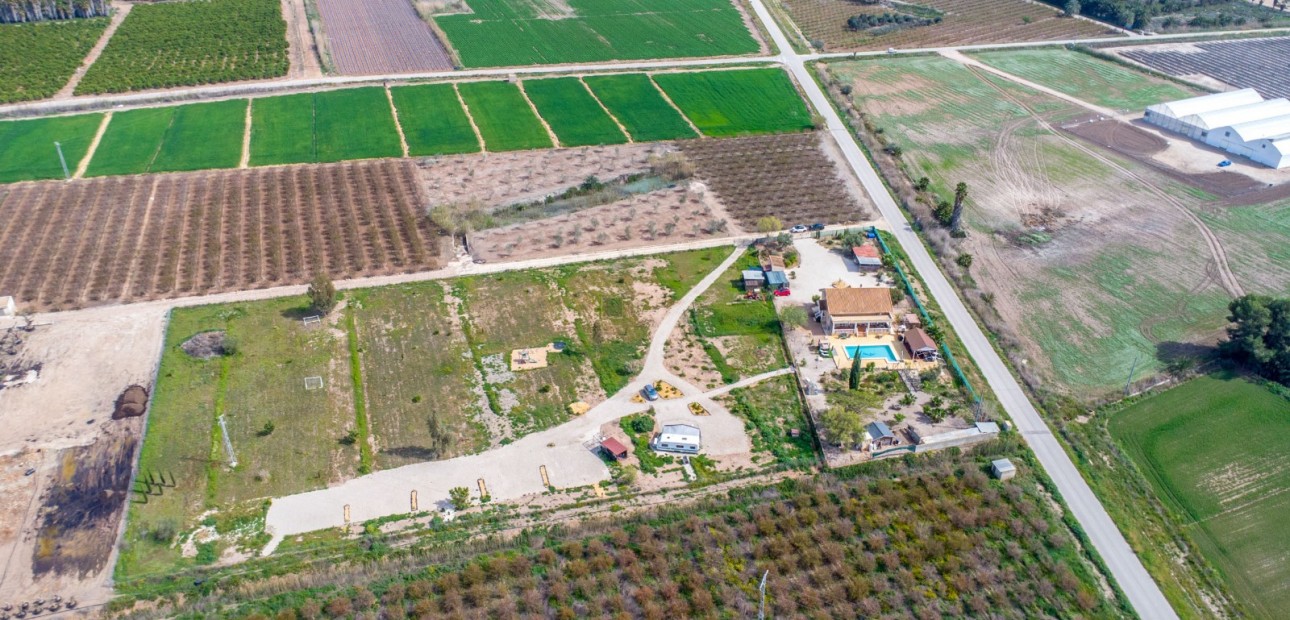 Sale - Finca -
Albatera