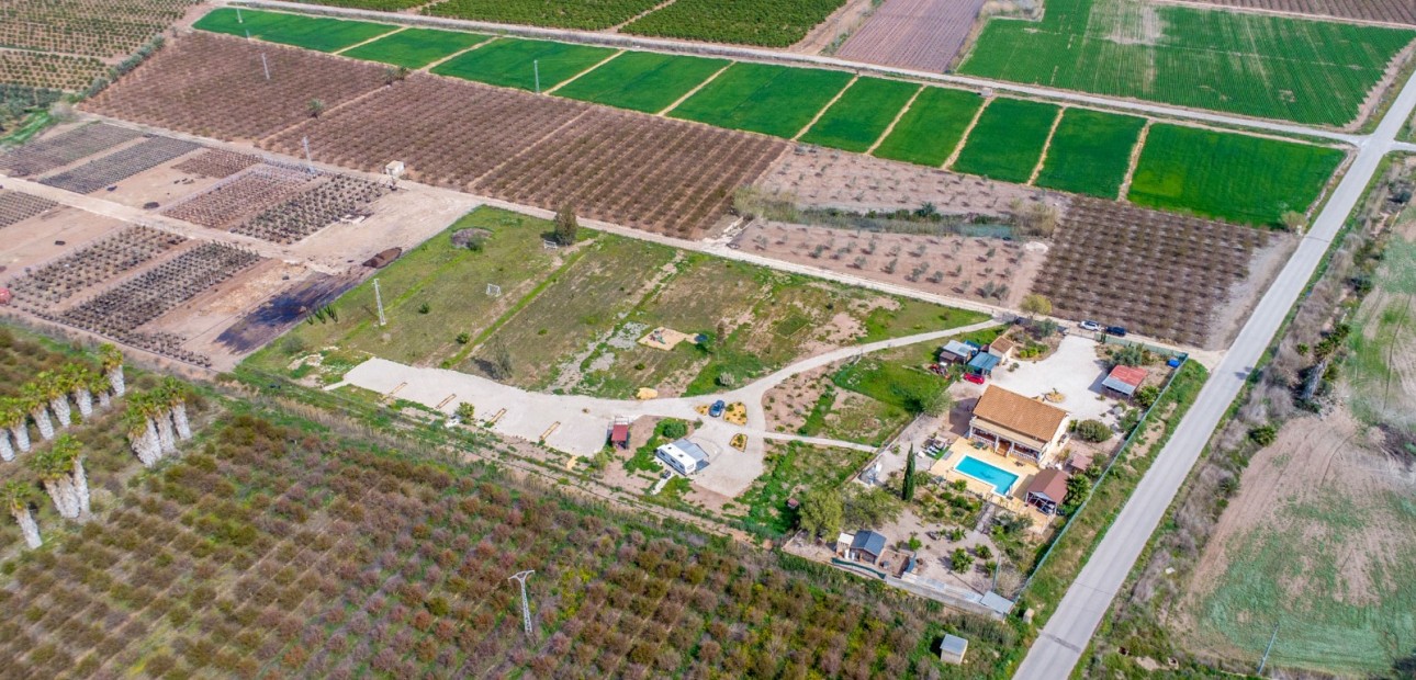 Sale - Finca -
Albatera