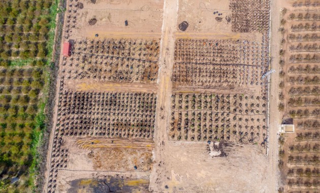 Sale - Finca -
Albatera