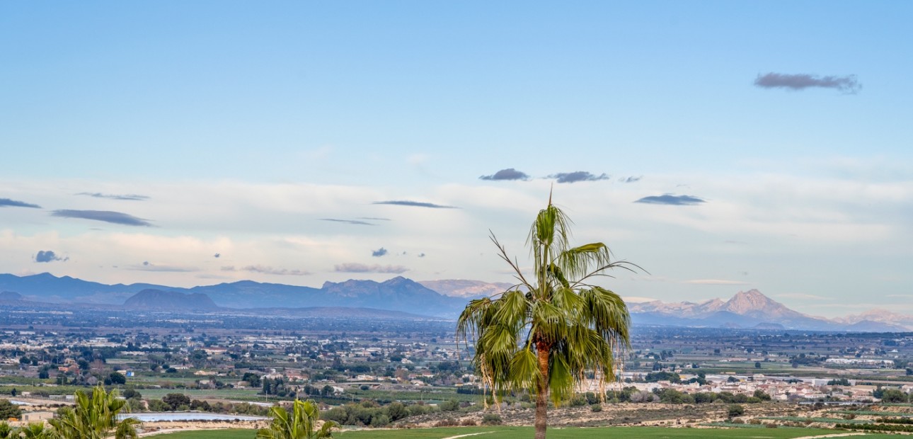 Sale - Detached Villa -
Algorfa - Lomas de La Juliana