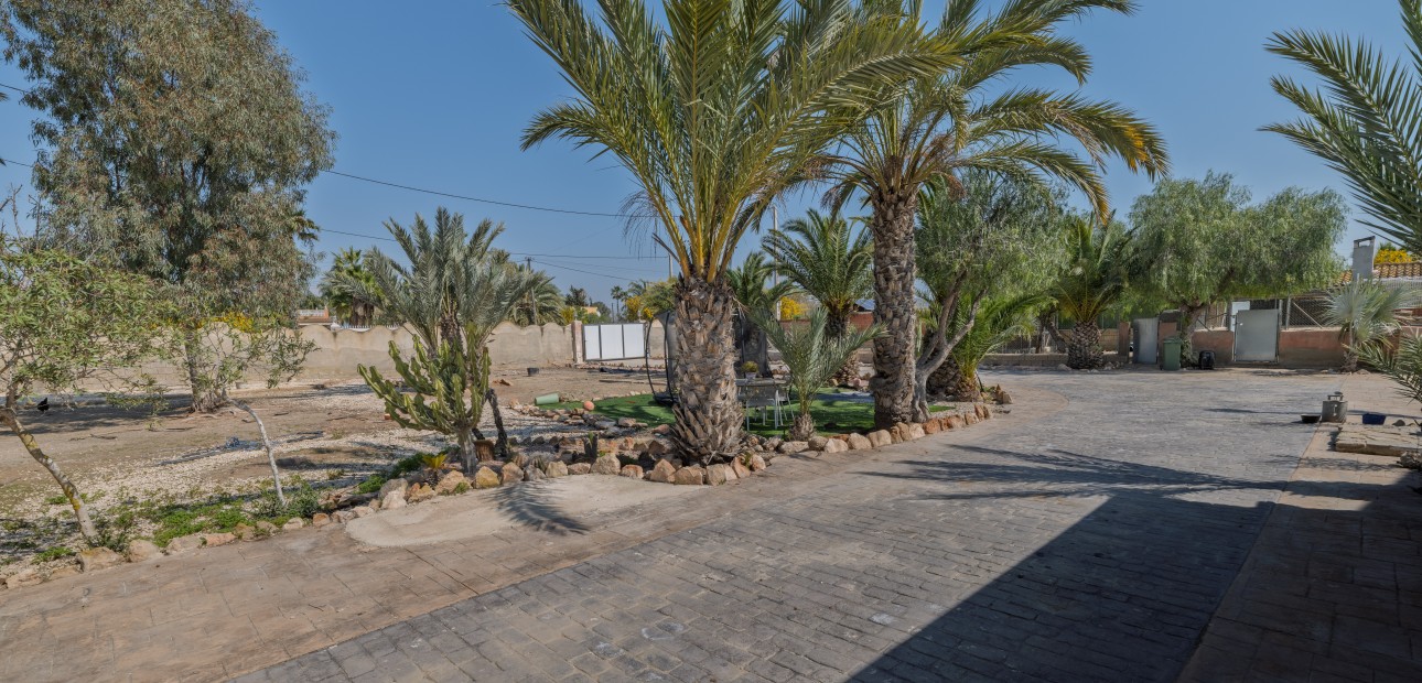 Venta - 5. Finca / Country Property -
Elche Pedanías - Daimés