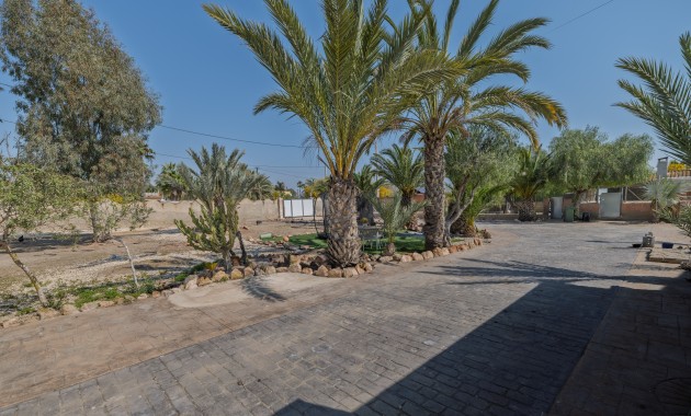Venta - 5. Finca / Country Property -
Elche Pedanías - Daimés