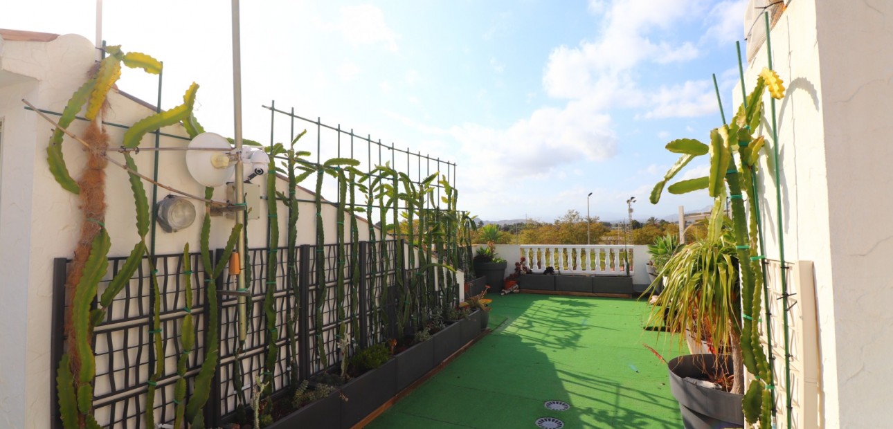 Sale - Townhouse -
Redovan - Redovan - Town