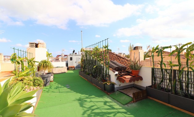 Sale - Townhouse -
Redovan - Redovan - Town