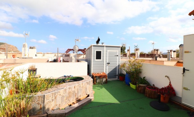 Sale - Townhouse -
Redovan - Redovan - Town