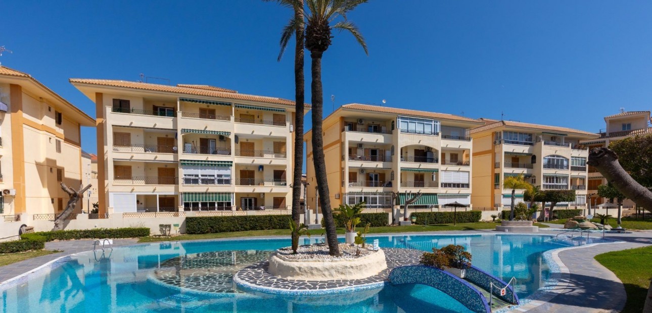 Herverkoop - Studio -
Torrevieja - Los Europeos