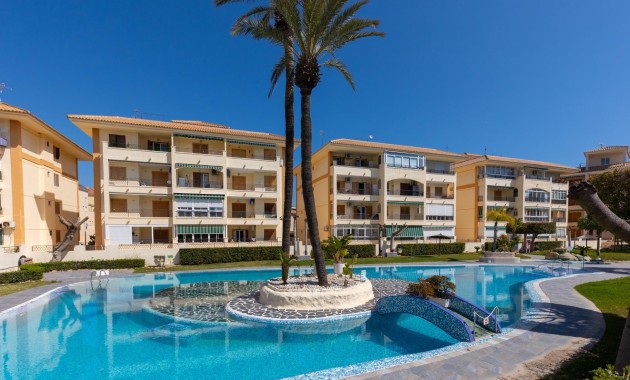 Herverkoop - Studio -
Torrevieja - Los Europeos