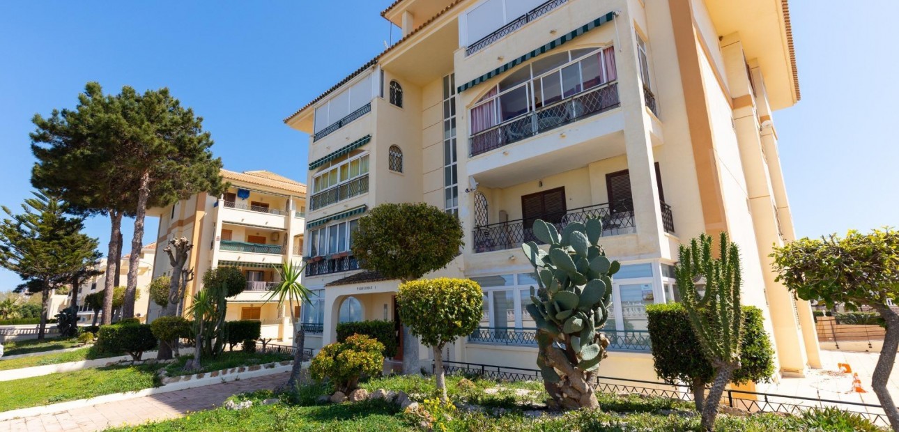 Herverkoop - Studio -
Torrevieja - Los Europeos