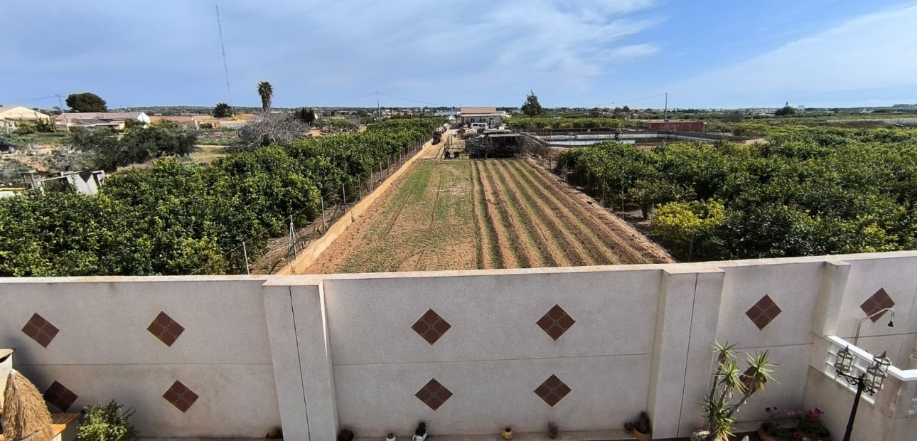 Herverkoop - Detached Villa -
Guardamar del Segura - El Raso