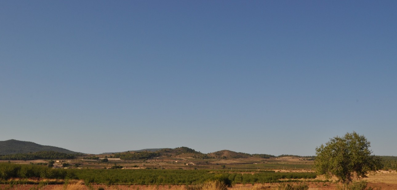 Herverkoop - Country Property -
Pinoso - Pinoso - Town