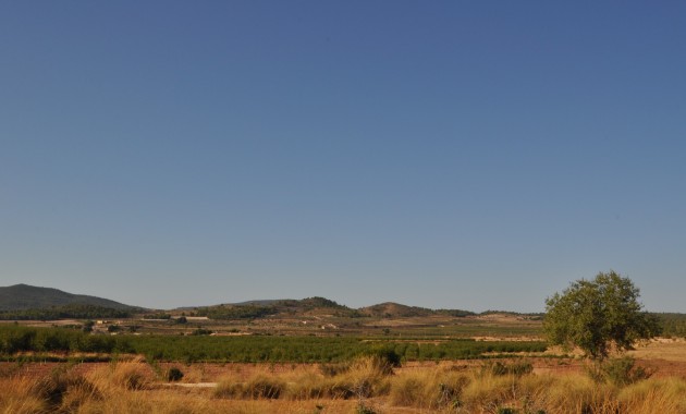 Herverkoop - Country Property -
Pinoso - Pinoso - Town