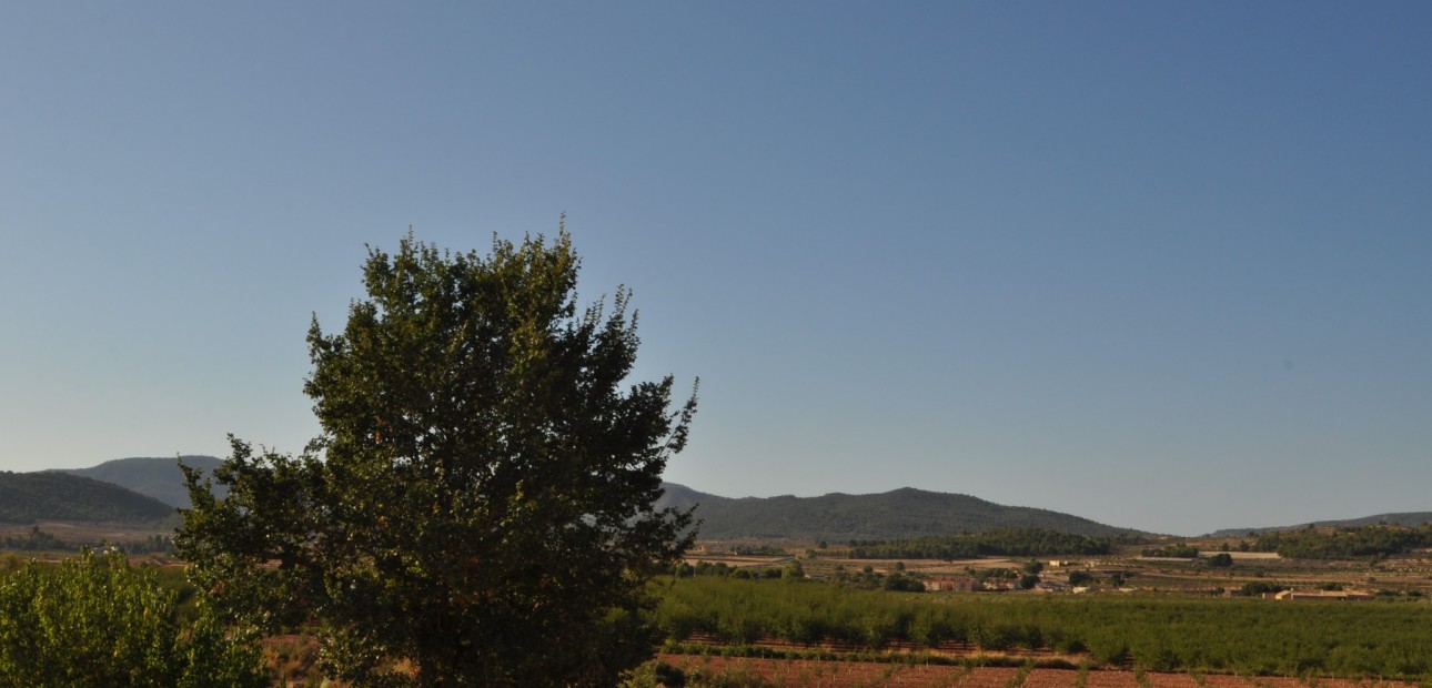 Herverkoop - Country Property -
Pinoso - Pinoso - Town