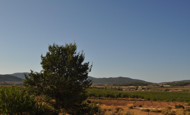 Herverkoop - Country Property -
Pinoso - Pinoso - Town