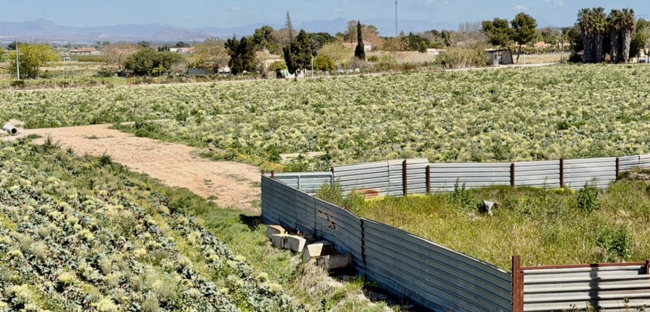 Sale - Apartment / flat -
Daya Nueva