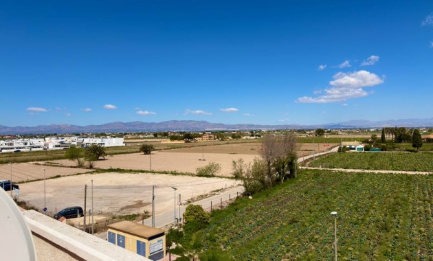 Sale - Apartment / flat -
Daya Nueva