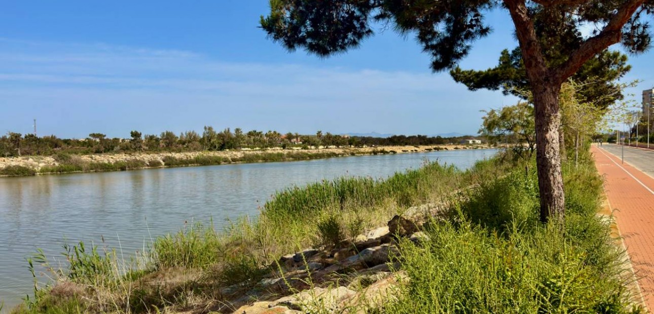 New Build - Apartment / flat -
Guardamar del Segura - Puerto Deportivo