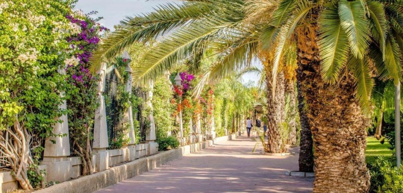 Herverkoop - Appartement / flat -
Torrevieja - Centro